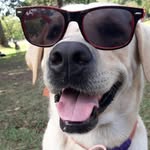@travis.county_ - Instagram