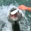 traviscromer488 - @traviscromer488 - TikTok