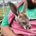 Travis Crutcher - Facebook