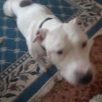 Travis Cruz - @traviscruz692021 - Instagram