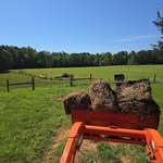 Travis Curtis - @travis.curtis.370 - Instagram
