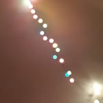 Travis Daily - @travis.daily.754365 - Instagram