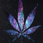 Travis Dawson - @travisdawson318 - Instagram