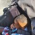Travis Dawson - Facebook