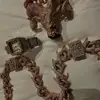 Travis Scoot Diallo - @travis.scoot.dial - TikTok