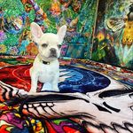 Travis Dick ☮️ - @travis.dick - Instagram