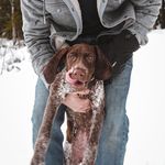 Travis Dilley - @awiggleintime - Instagram