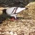 Travis Doe - Facebook