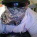 Travis Doerfler - Facebook