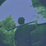 Travis Dolans Paloma - @travisdolans - Instagram
