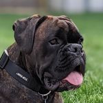 Travis Downing - @onetravdown - Instagram