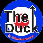 Travis The Duck - @travisduckvespa - Instagram