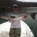 Joshua Pile - Travis Duff - @outoflinefishingcharters - Instagram