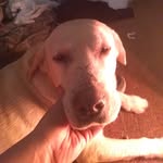 travis eason - @eason7250 - Instagram