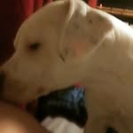 travis eason - @eason4340 - Instagram
