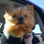 Travis Eastman - @docdayton - Instagram