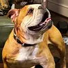 Travis Eddings - @travis.eddings5 - TikTok