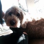 Travis McGee Ely - @travisofco - Instagram