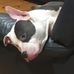 Travis Ewing - Facebook