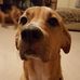 Travis Estep - Facebook