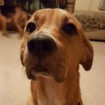 Travis Estep - @3_in_the_green - Instagram