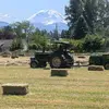 Farmertravis - @farmertravis11 - TikTok