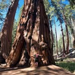 Travis Farmer - @coconutwater_riverman - Instagram