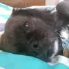 nancytravisfarren - @nancytravisfarren - TikTok