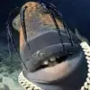 travisFish - @travisfish42 - TikTok