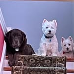 Kevin Travis Flint - @kevintflint - Instagram