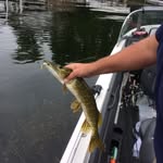 Travis Fraley - @t_fray63 - Instagram