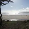 travisgalloway975 - @travisgalloway975 - TikTok