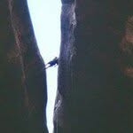 Travis - @travisgarton - Instagram