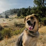 Travis Gault - @tmang712 - Instagram