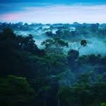 travisg - @travisgentry258 - Instagram