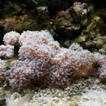 Travis Gilbert - @travis.gilbert.50767 - Instagram