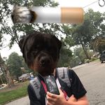 Travis - @travis_goldbach - Instagram