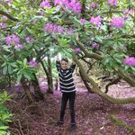 Travis Goodwin - @travis_goodwin11 - Instagram