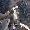 Travis Goodwin - @treevis_g - TikTok