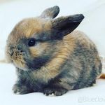 Travis Grant - @travis.grant.798 - Instagram