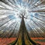 Travis Grissom - @travisgrissom296818 - Instagram