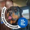 travisgrissom - @travisgrissom - TikTok