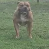 Travis Groves - @travis.groves7 - TikTok