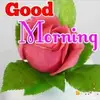 #MANISH_MEHTA - @travis.grubbs - TikTok