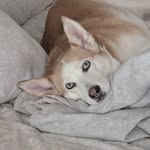 Travis Grubbs - @ctg31326 - Instagram