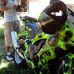 Travis Grubbs - Facebook