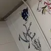 travisgrubbs81 - @travisgrubbs81 - TikTok