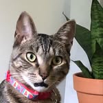 Travis Guidry - @ninjafoot4130 - Instagram