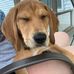 Travis Gunnels - Facebook