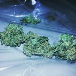 Travis halstead💭💭👌👌 - @alldayblazen420 - Instagram